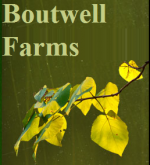 Boutwell Farms Boutwell Farms