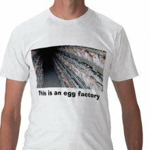 Chickens Raised In Battery Cages